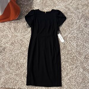 Calvin Klein Cap Sleeve Dress